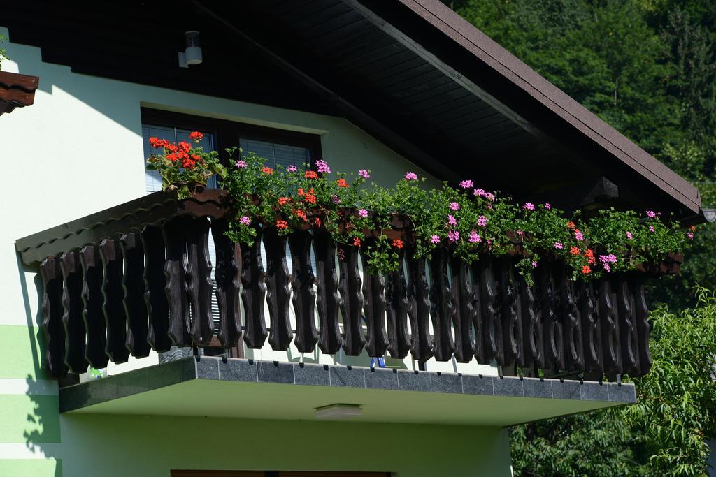 Zeleni Apartma Zrece Ngoại thất bức ảnh